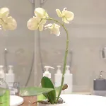 아파트 Design Porta Venezia